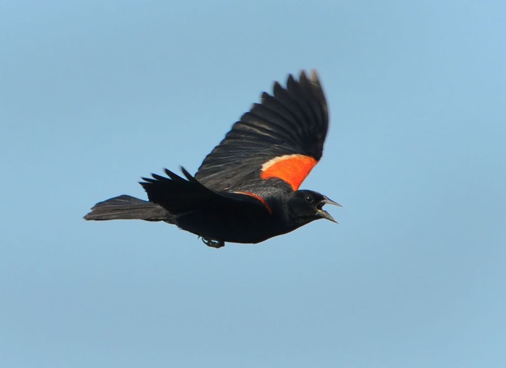 DSC_2280.jpg