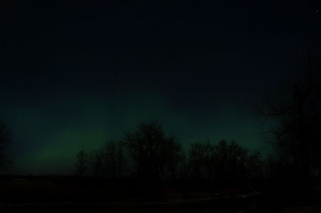 DSC_2365.jpg