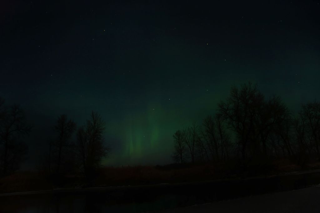 DSC_2367.jpg