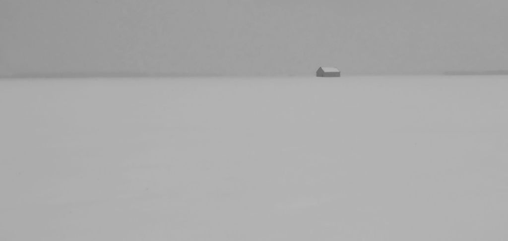 DSC_2414_BW.jpg