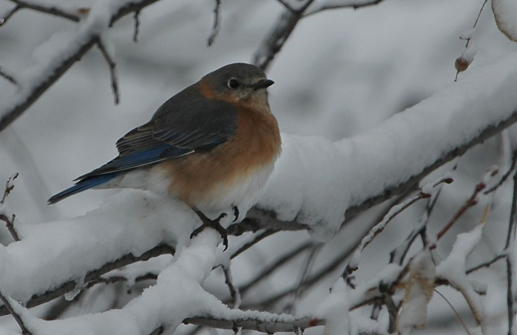 DSC_2569.jpg