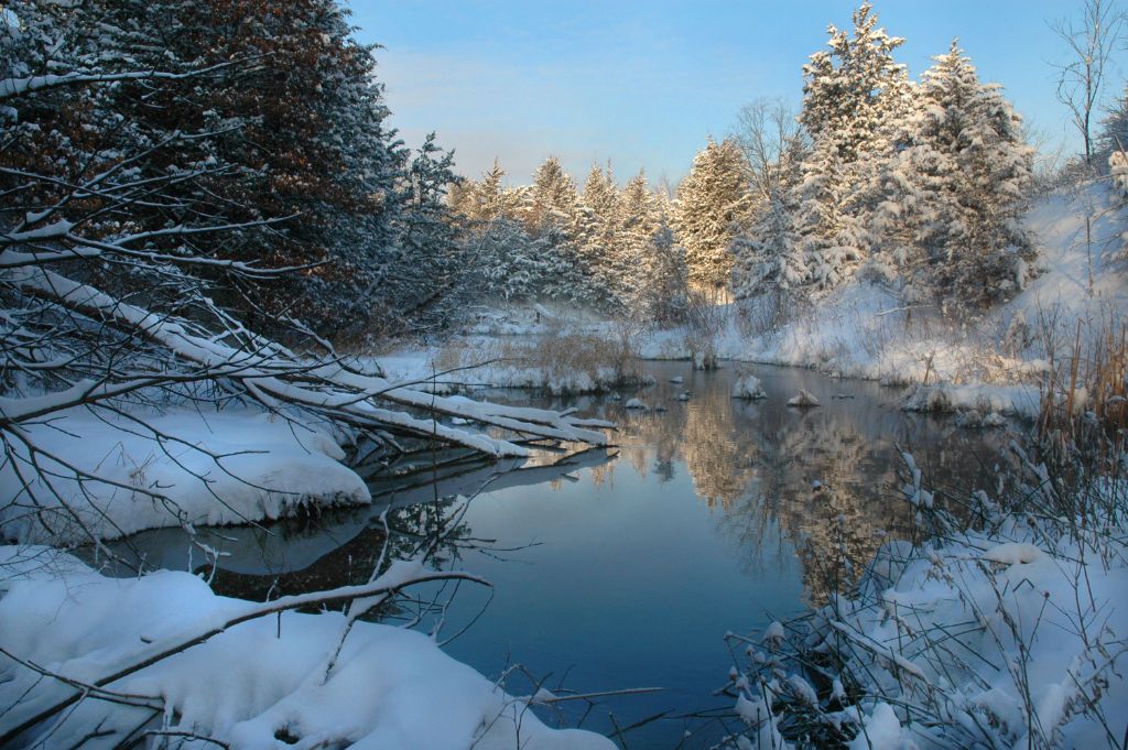 DSC_2600.jpg
