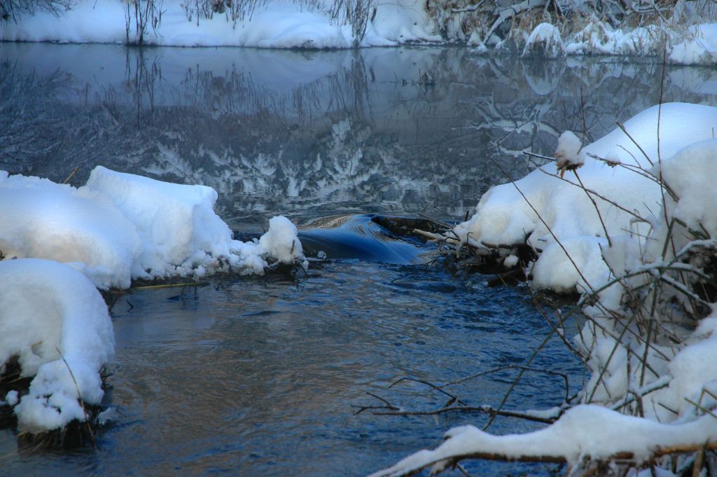 DSC_2603.jpg