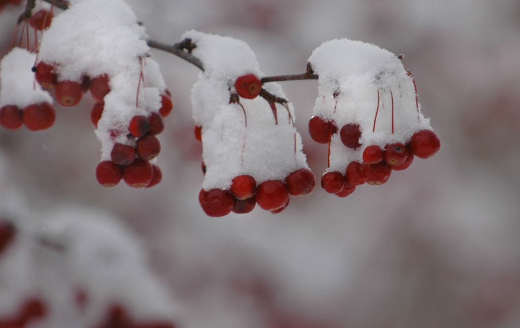 DSC_2715.jpg