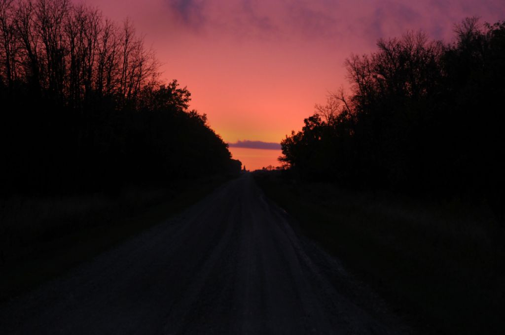 DSC_3106.jpg