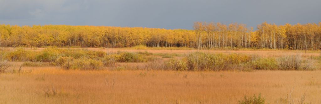 DSC_3173.jpg