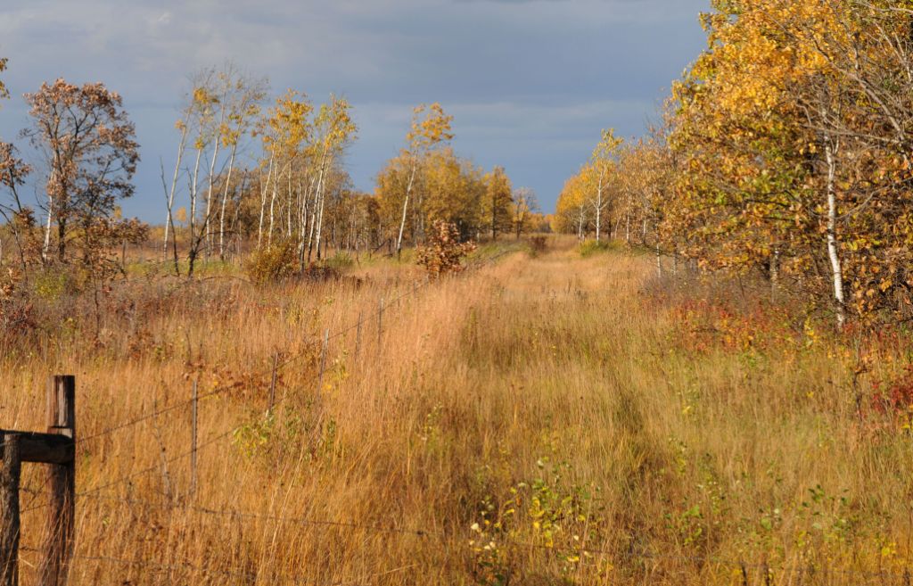 DSC_3177.jpg