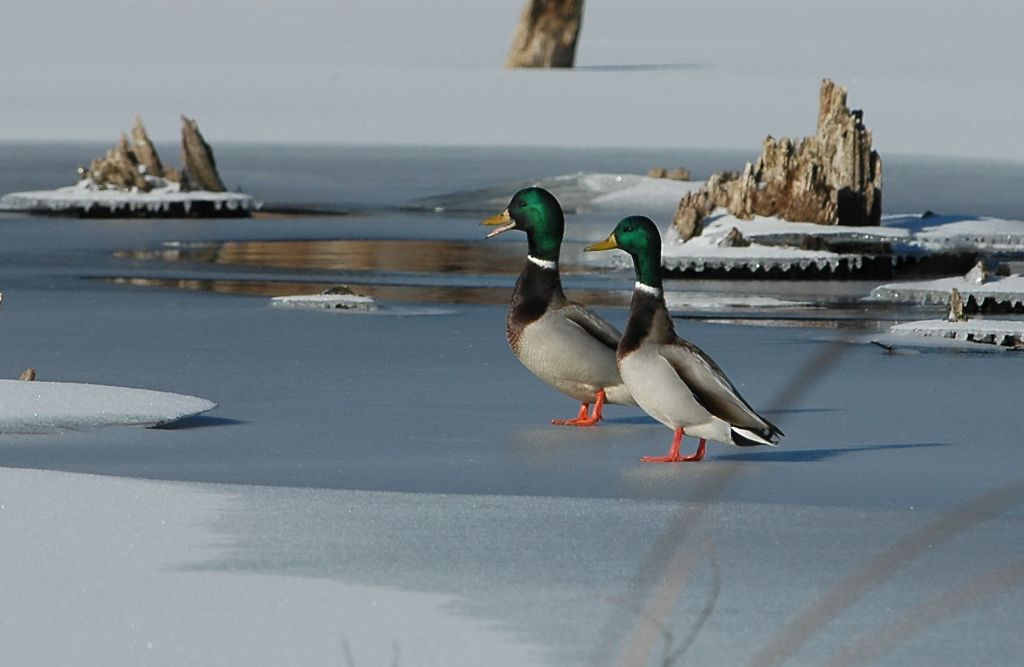 DSC_3216.jpg