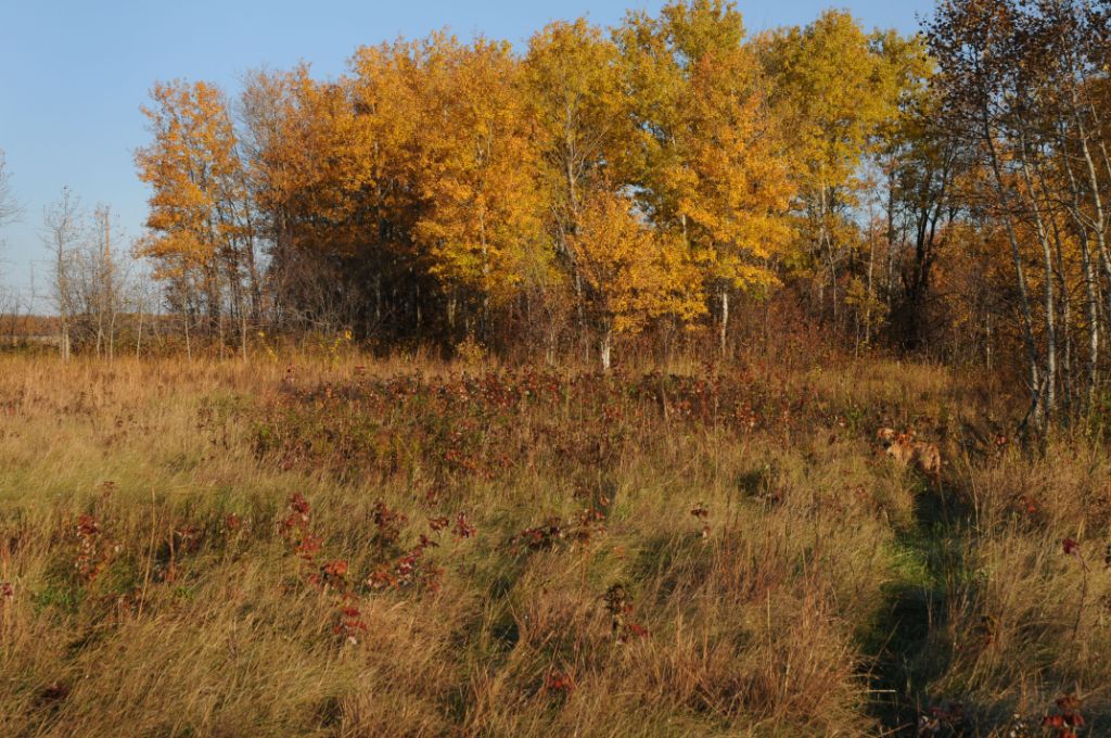 DSC_3438.jpg