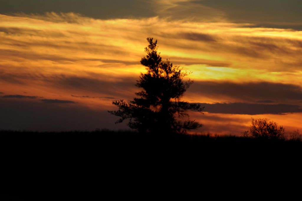DSC_3565.jpg