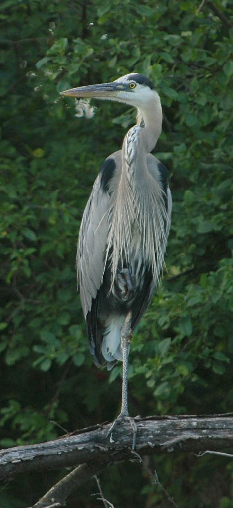 DSC_4414.jpg
