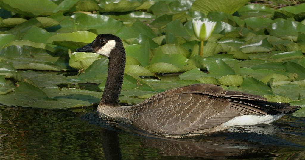 DSC_4444.jpg
