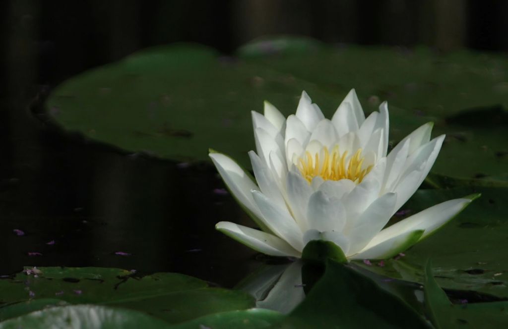 DSC_4459.jpg