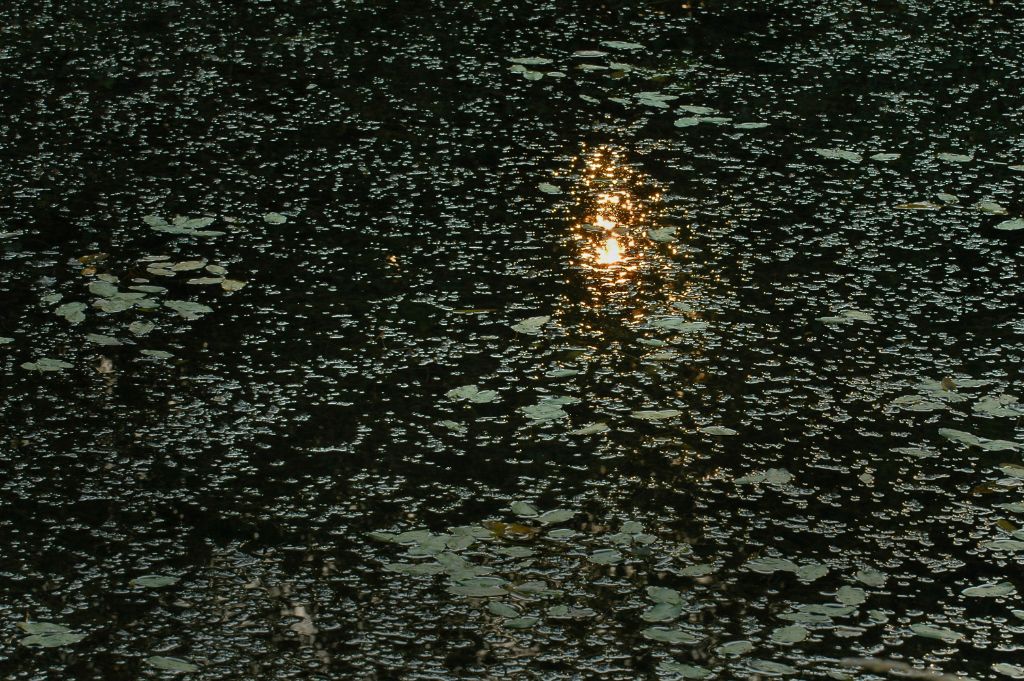 DSC_4675.jpg