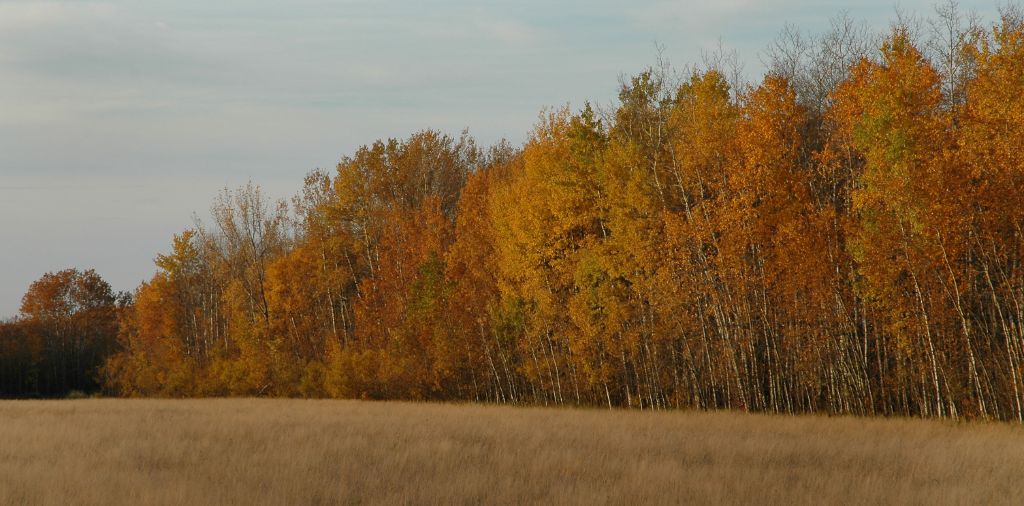 DSC_5092.jpg