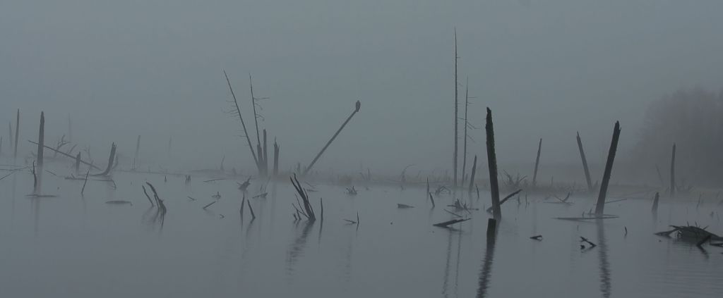 DSC_5302.jpg