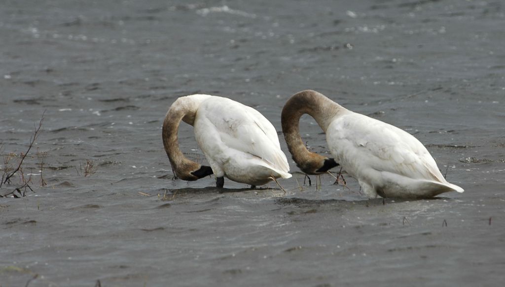 DSC_5426.jpg