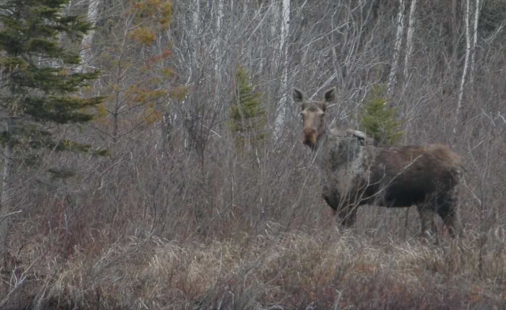 DSC_5487.jpg
