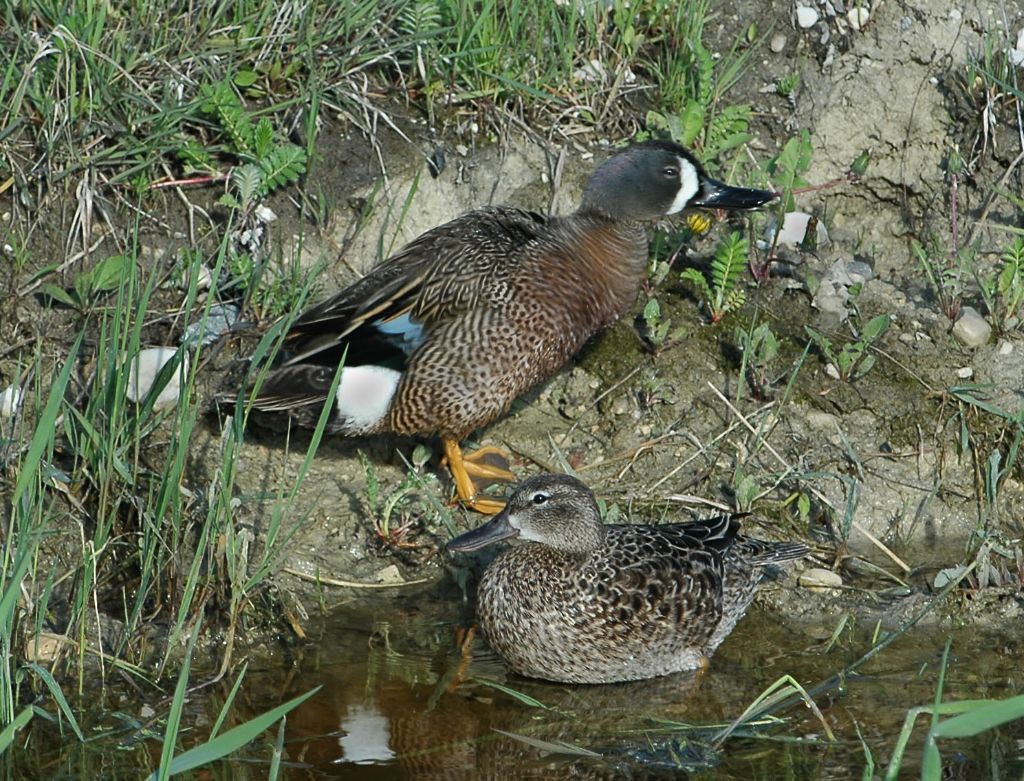 DSC_6164.jpg