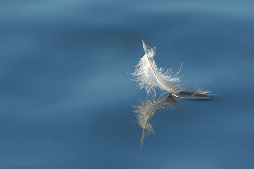 DSC_6386.jpg