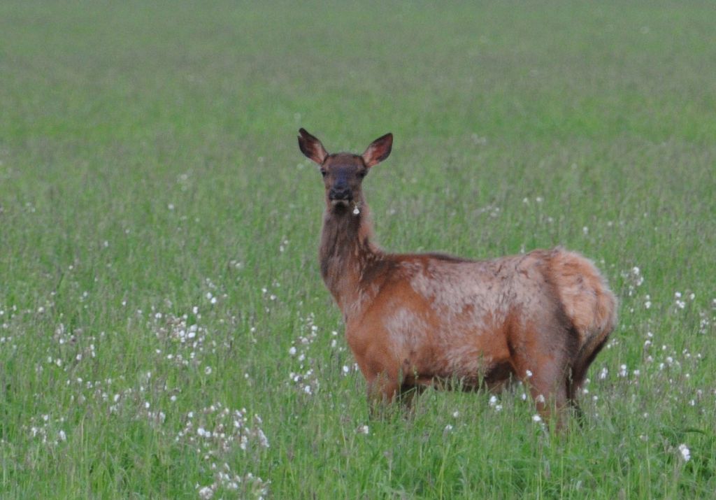 DSC_6494.jpg