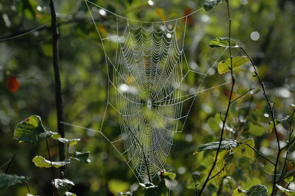 DSC_6948.jpg
