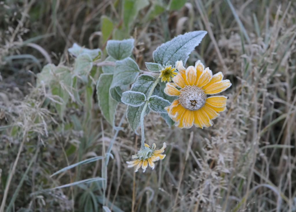 DSC_7861.jpg