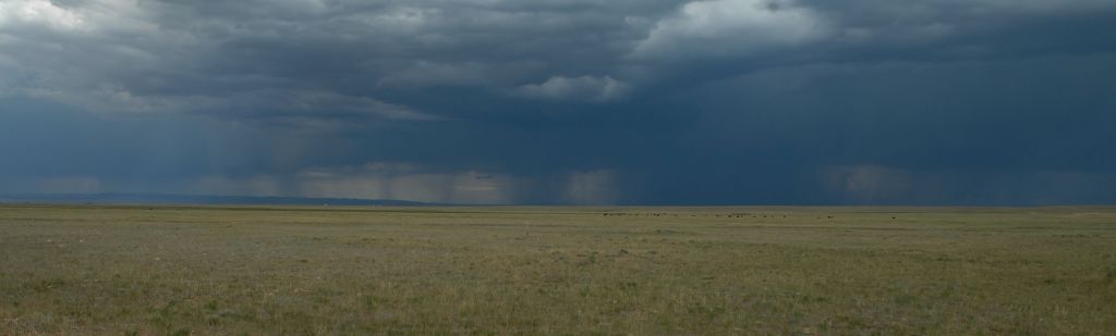 DSC_8006.jpg