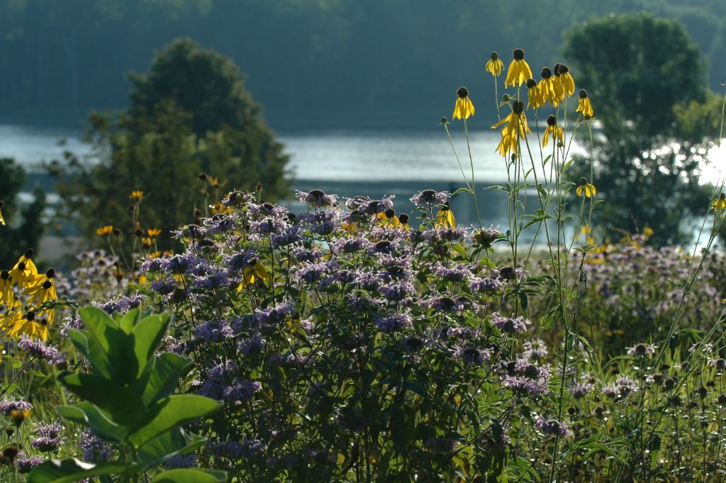 DSC_8171.jpg