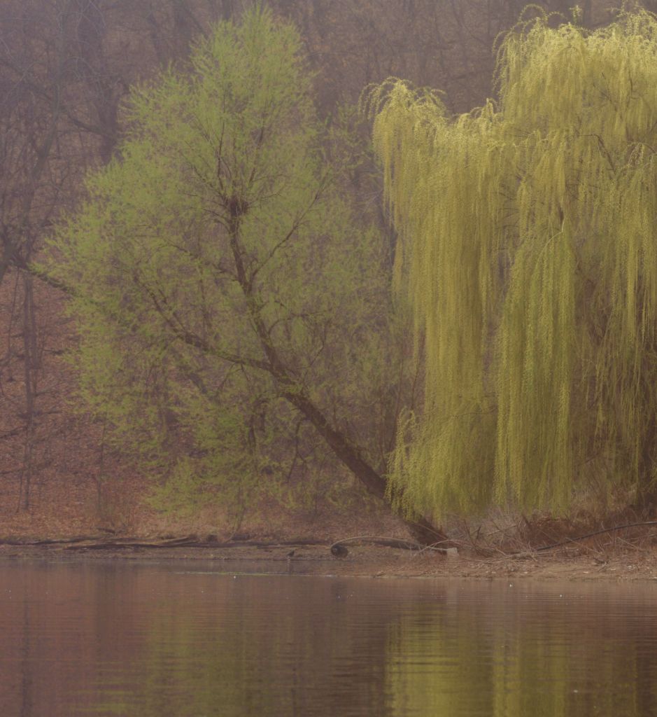 DSC_8628.jpg
