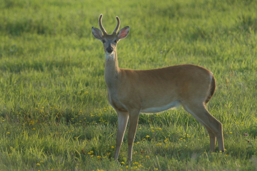 DSC_8690.jpg
