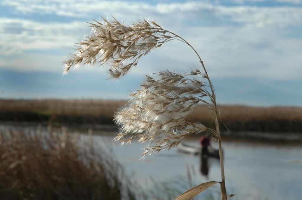 DSC_9105.jpg