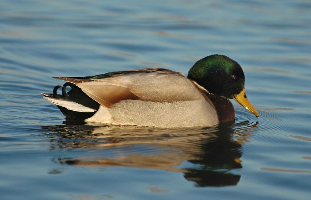DSC_9364.jpg