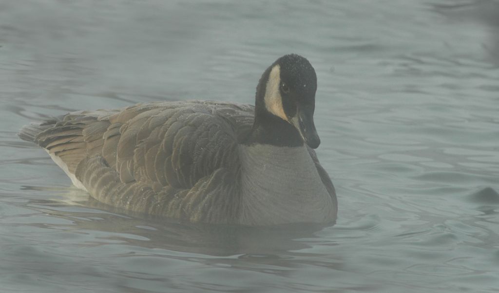 DSC_9424.jpg