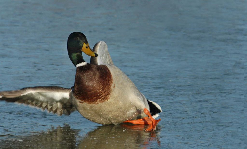 slider2_1600.jpg
