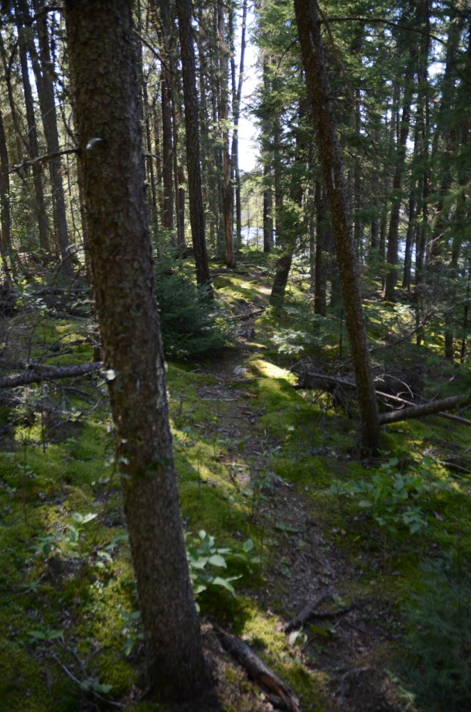 700_5923.jpg - A scenic portage