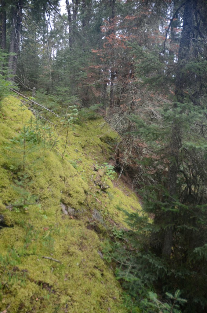 700_5941.jpg - tough portage