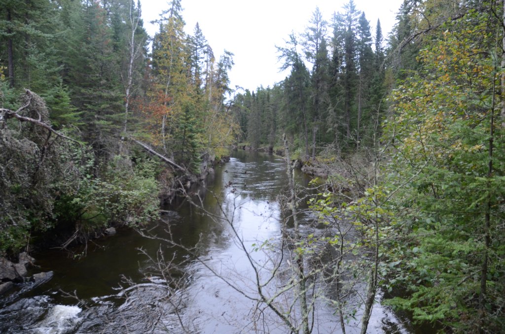 700_5945.jpg - But the beauty is incredible