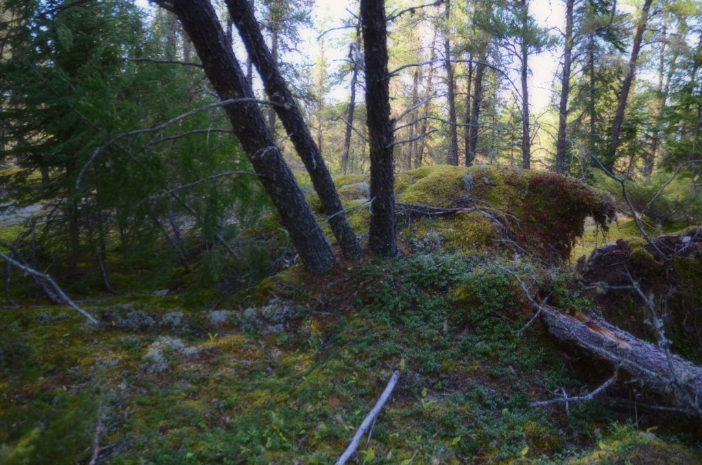 700_6306.jpg - tipped over