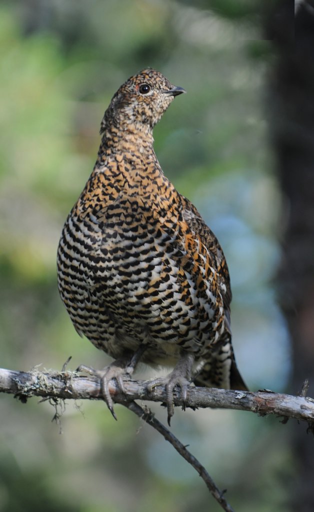 DSC_0156.jpg - posing