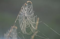 DSC_2671