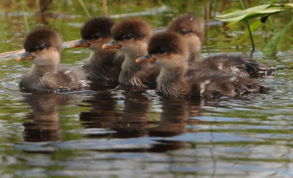 DSC_0943.jpg - Portrait