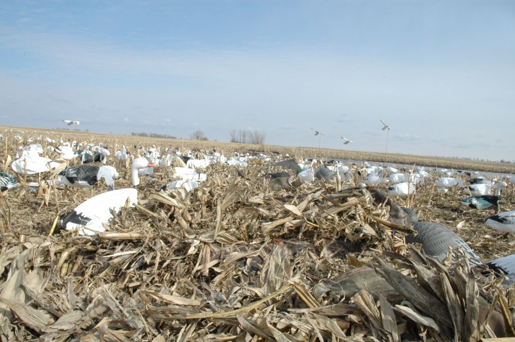 DSC_2963.jpg