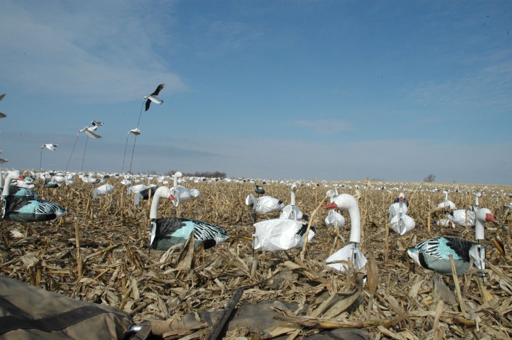 DSC_2966.jpg