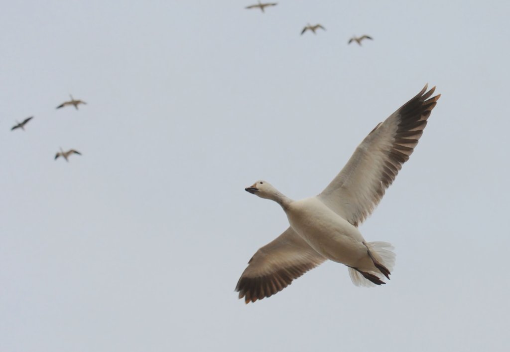 DSC_5803.jpg