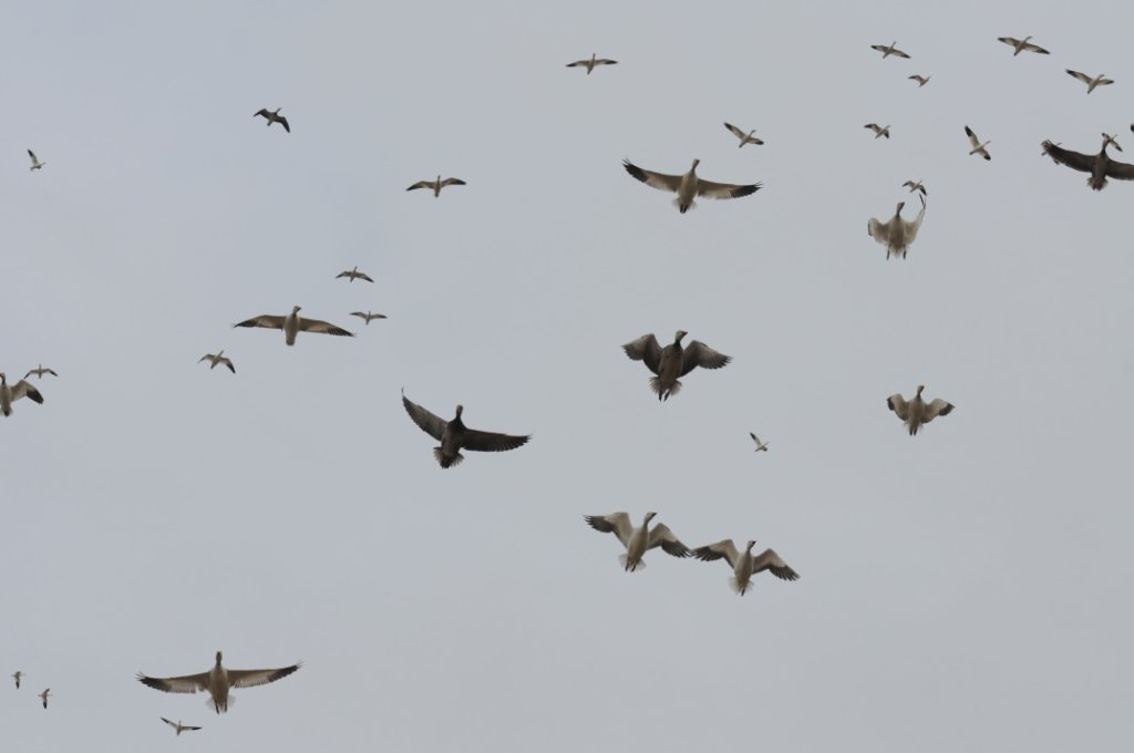 DSC_5824.jpg