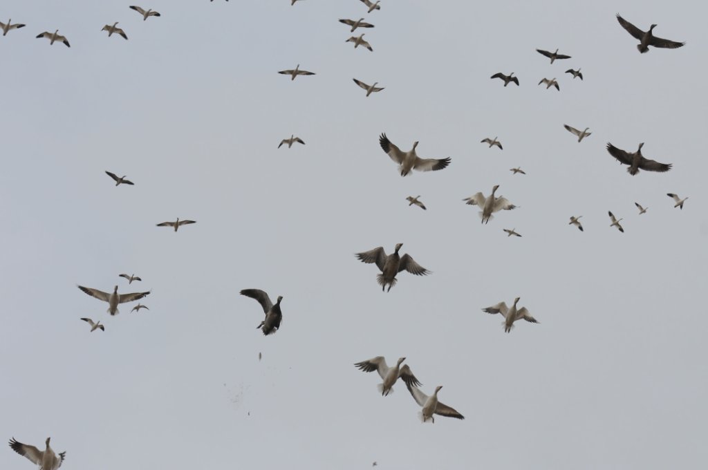 DSC_5826.jpg