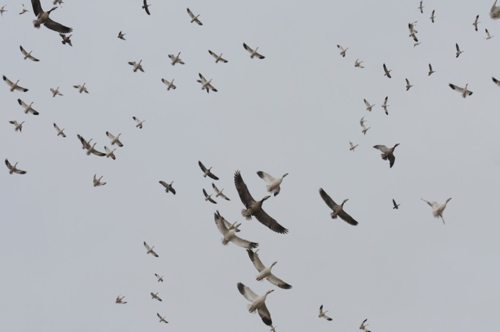 DSC_5831.jpg