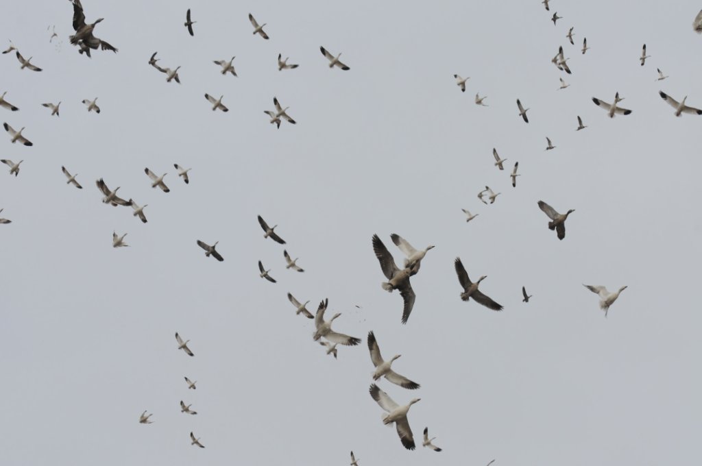 DSC_5832.jpg
