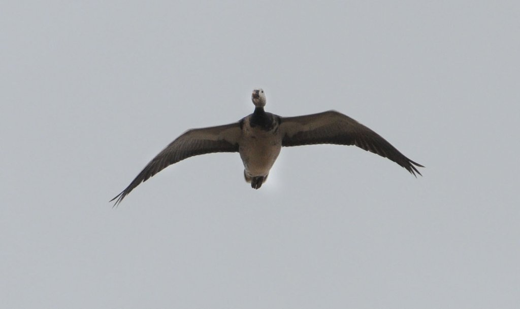 DSC_5846.jpg
